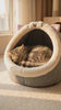 Cat sleeping peacefully in cave bed - morning lifestyle video